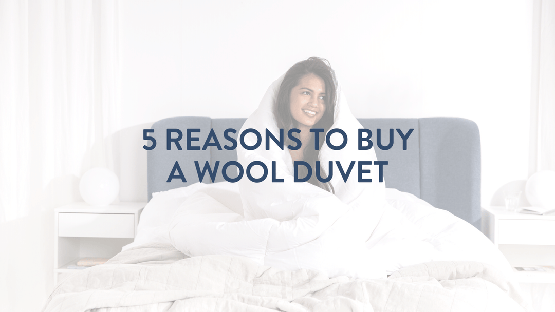 5 reasons to buy a wool duvet British biodegradable eco duvet alternatives putnims.comvon